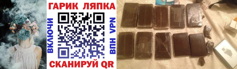ГАШ Изолятор Вытегра