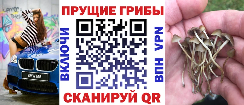 Галлюциногенные грибы GOLDEN TEACHER  mega ссылки  Вытегра 