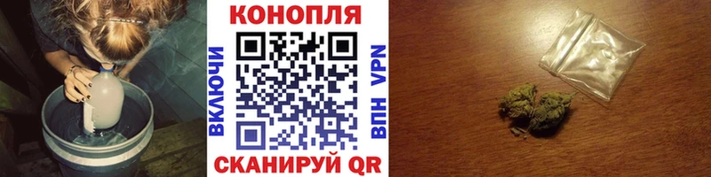 закладки  Вытегра  MEGA   Шишки марихуана сатива 